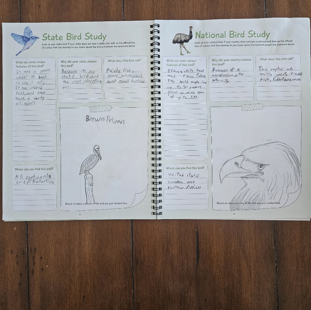 Birds Unit Study The Good And The Beautiful - Picture 3 of 4